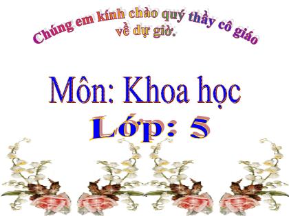 Bài giảng Khoa học Lớp 5 - Tuần 15 - Bài: Thủy tinh