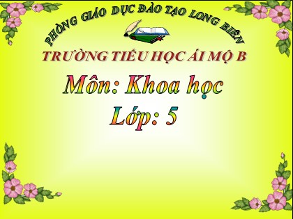 Bài giảng Khoa học Lớp 5 - Tuần 16 - Bài: Tơ sợi - Năm học 2016-2017