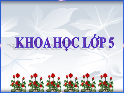 Bài giảng Khoa học Lớp 5 - Tuần 18 - Bài: Dung dịch