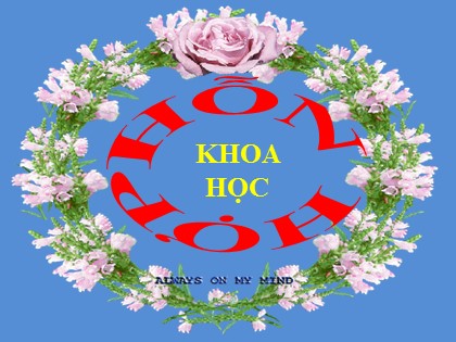 Bài giảng Khoa học Lớp 5 - Tuần 18 - Bài: Hỗn hợp - Năm học 2016-2017