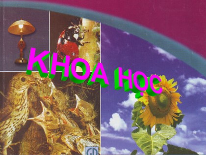 Bài giảng Khoa học Lớp 5 - Tuần 2 - Bài: Cơ thể ta