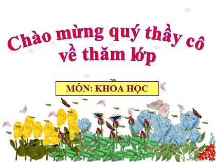 Bài giảng Khoa học Lớp 5 - Tuần 20 - Bài: Năng lượng - Năm học 2016-2017