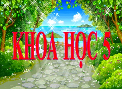 Bài giảng Khoa học Lớp 5 - Tuần 21 - Bài: Năng lượng mặt trời