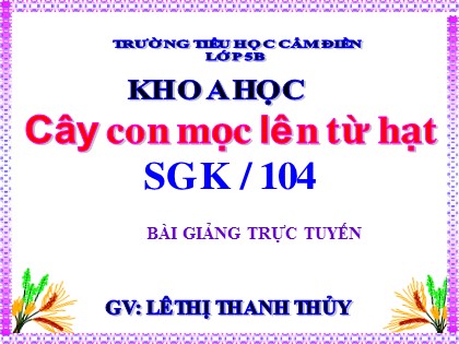 Bài giảng Khoa học Lớp 5 - Tuần 26 - Bài: Cây con mọc lên từ hạt - Lê Thị Thanh Thủy