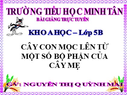 Bài giảng Khoa học Lớp 5 - Tuần 26 - Bài: Cây con mọc lên từ một số bộ phận của cây mẹ - Nguyễn Thị Quỳnh Mai