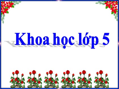 Bài giảng Khoa học Lớp 5 - Tuần 26 - Bài: Cơ quan sinh sản của thực vật có hoa