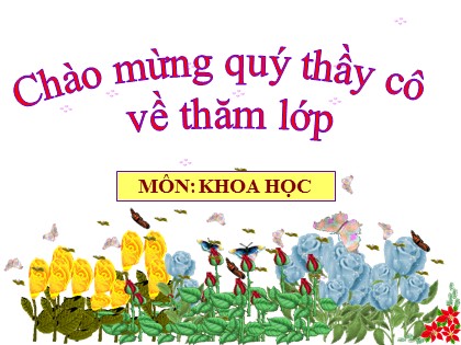 Bài giảng Khoa học Lớp 5 - Tuần 28 - Bài: Sự sinh sản của côn trùng - Năm học 2016-2017