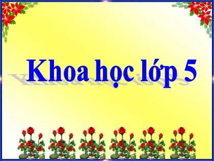 Bài giảng Khoa học Lớp 5 - Tuần 29 - Bài: Sự sinh sản của ếch