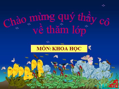 Bài giảng Khoa học Lớp 5 - Tuần 29 - Bài: Sự sinh sản và nuôi con của chim - Năm học 2016-2017