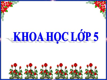 Bài giảng Khoa học Lớp 5 - Tuần 30 - Bài: Sự nuôi và dạy con của một số loài thú - Năm học 2016-2017