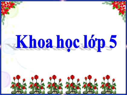 Bài giảng Khoa học Lớp 5 - Tuần 30 - Bài: Sự sinh sản của thú