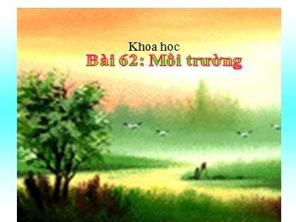 Bài giảng Khoa học Lớp 5 - Tuần 31 - Bài: Môi trường