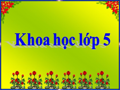 Bài giảng Khoa học Lớp 5 - Tuần 33 - Bài 66: Tác động của con người đến môi trường đất