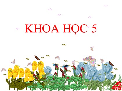 Bài giảng Khoa học Lớp 5 - Tuần 34 - Bài: Một số biện pháp bảo vệ môi trường