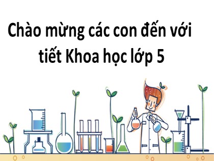 Bài giảng Khoa học Lớp 5 - Tuần 4 - Bài: Từ tuổi vị thành niên đến tuổi già
