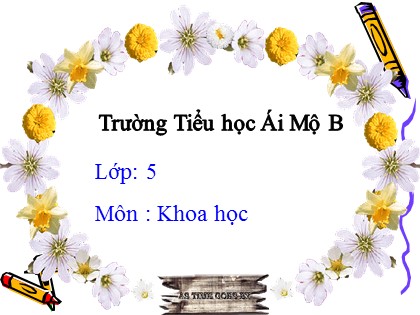 Bài giảng Khoa học Lớp 5 - Tuần 5 - Bài: Thực hành nói không với các chất gây nghiện - Trường Tiểu học Ái Mộ B