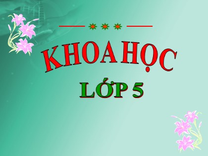 Bài giảng Khoa học Lớp 5 - Tuần 6 - Bài: Dùng thuốc an toàn