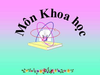 Bài giảng Khoa học Lớp 5 - Tuần 7 - Tiết 14: Phòng bệnh viêm não - Năm học 2016-2017