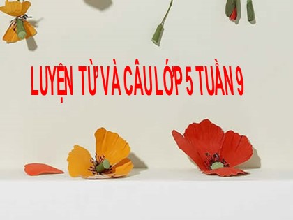 Bài giảng Luyện từ và câu Khối 5 - Tuần 9 - Bài: Đại từ