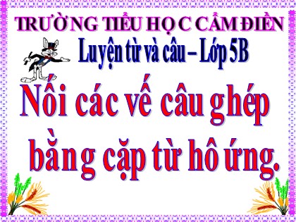 Bài giảng Luyện từ và câu Lớp 5 - Tuần 24 - Bài: Nối các vế câu ghép bằng cặp từ hô ứng - Trường Tiểu học Cẩm Điền