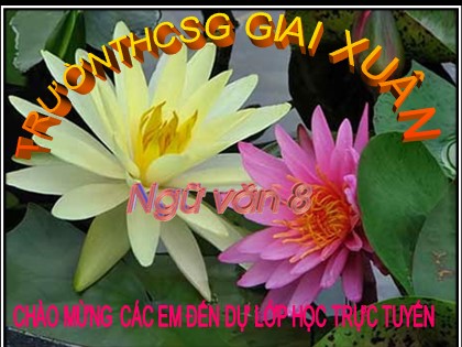Bài giảng Ngữ văn Lớp 8 - Tiết 42+43: Thông tin về ngày Trái Đất năm 2000