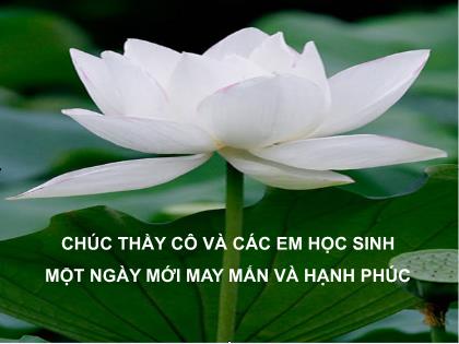 Bài giảng Ngữ văn Lớp 9 - Bài: Nghị luận về tác phẩm truyện hoặc đoạn trích