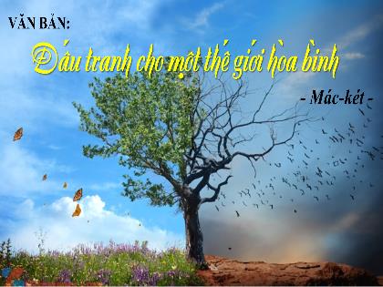 Bài giảng Ngữ văn Lớp 9 - Văn bản: Đấu tranh cho một thế giới hòa hình
