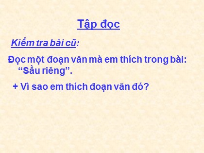 Bài giảng Tập đọc Khối 4 - Tuần 22 - Bài: Chợ Tết