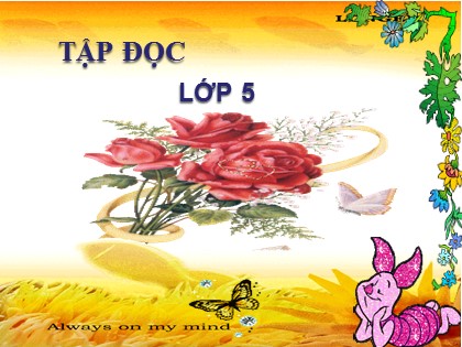 Bài giảng Tập đọc Khối 5 - Tuần 22 - Bài: Cao Bằng