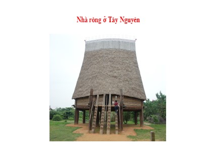 Bài giảng Tập đọc Lớp 3 - Tuần 15 - Bài: Nhà rông ở Tây Nguyên