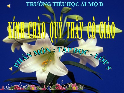 Bài giảng Tập đọc Lớp 5 - Tuần 13 - Bài: Người gác rừng tí hon - Năm học 2016-2017 - Trường Tiểu học Ái Mộ B