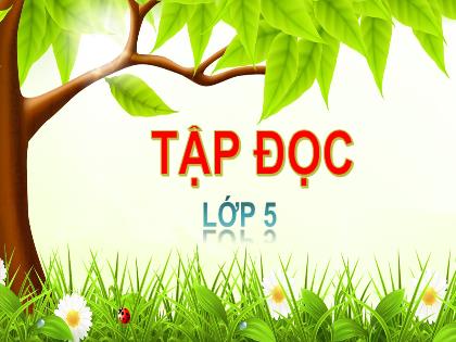 Bài giảng Tập đọc Lớp 5 - Tuần 13 - Bài: Người gác rừng tí hon Bài giảng Tập đọc Lớp 5 - Tuần 13 - Bài: Người gác rừng tí hon