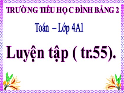 Bài giảng Toán học 4 - Chương 2 - Bài: Luyện tập (Trang 55)