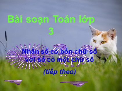Bài giảng Toán Lớp 3 - Bài: Nhân số có bốn chữ số với số có một chữ số (Tiếp theo)