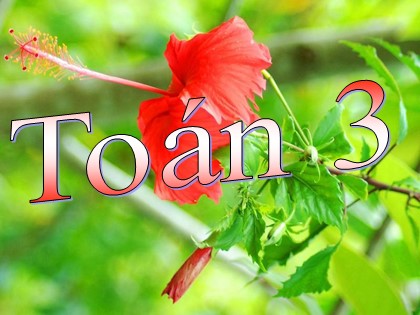 Bài giảng Toán Lớp 3 - Tuần 24 - Tiết 118: Làm quen với số La Mã