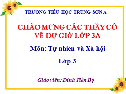 Bài giảng Tự nhiên và xã hội Lớp 3 - Bài 12: Cơ quan thần kinh - Năm học 2019-2020 - Đinh Tiến Bộ