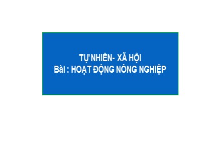 Bài giảng Tự nhiên và xã hội Lớp 3 - Bài 30: Hoạt động nông nghiệp