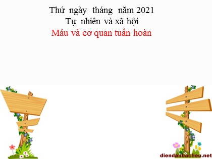 Bài giảng Tự nhiên và xã hội Lớp 3 - Tuần 3 - Bài: Máu và cơ quan tuần hoàn - Năm học 2021-2022